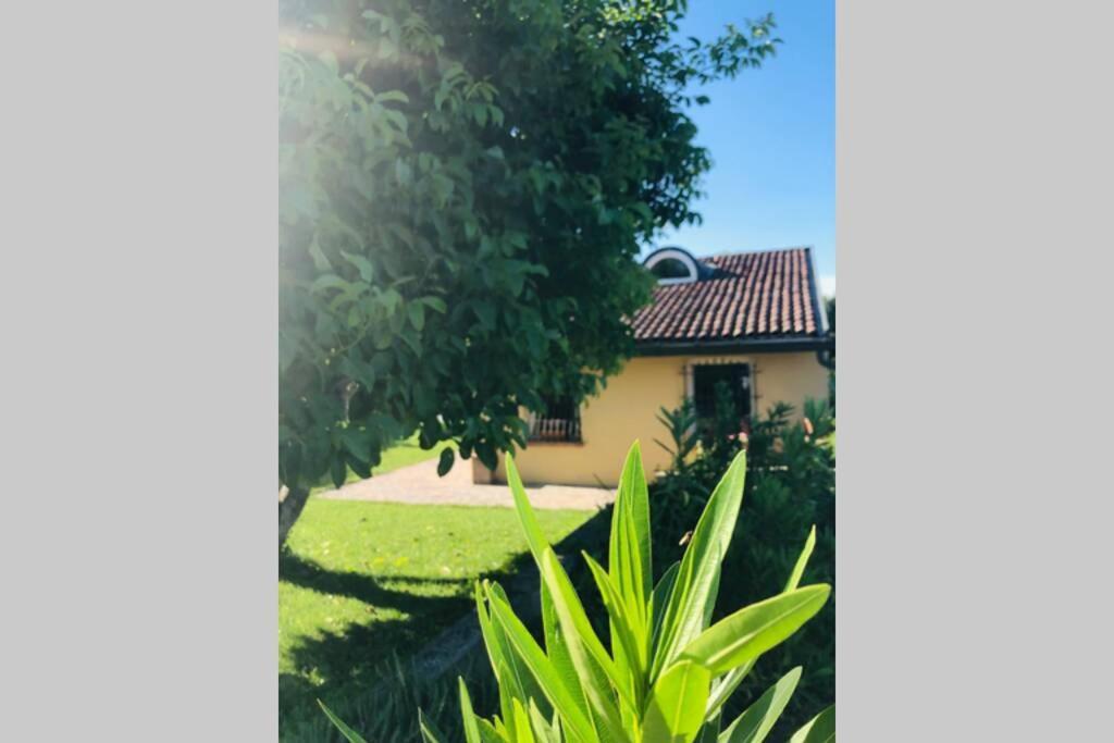 Badia Pavese La Casa Nei Campiヴィラ エクステリア 写真